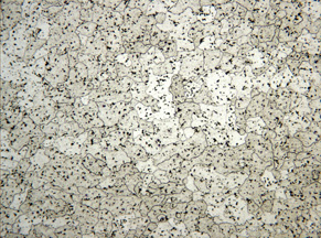 Metallographic micrograph of 6061 aluminum alloy