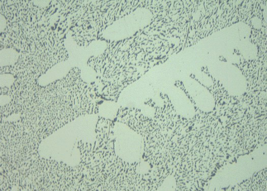 Metallographic micrograph of aluminum