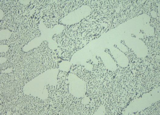 Metallographic micrograph of polarize aluminum silicon alloy