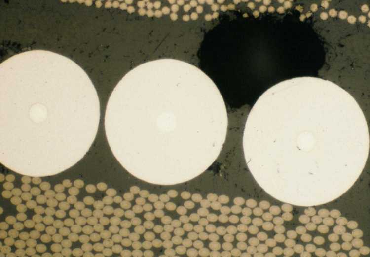 Metallographic micrograph of boron graphite composites