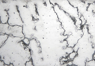 Metallographic micrograph of cast colbalt