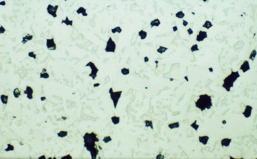 Metallographic micrograph for Cordietie