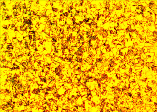 Metallographic micrograph of low carbon steel