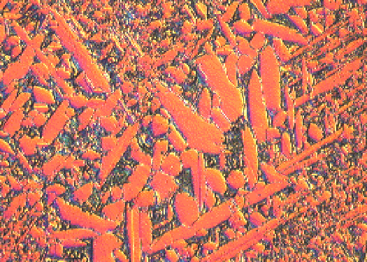 Metallographic micrograph of Bronze