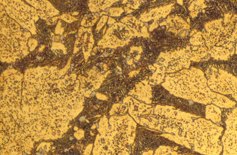 Metallographic micrograph Nickel iron bronze
