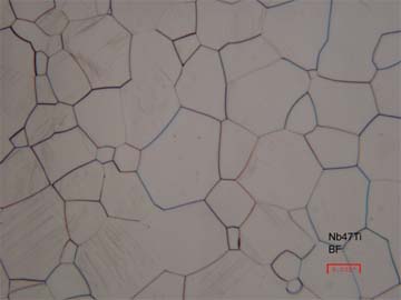 Metallographic micrograph of Niobium refractory metal