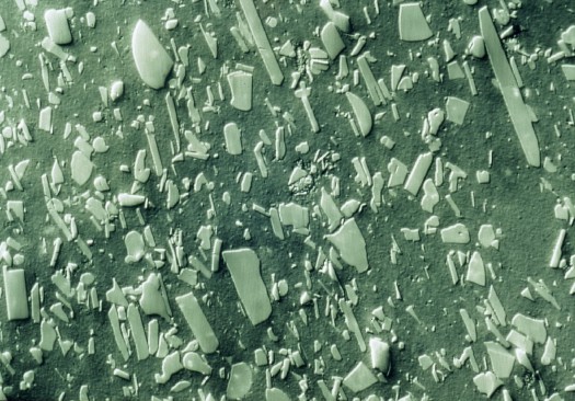 Metallographic micrograph of silicon carbide particles in a silicon nitride matrix