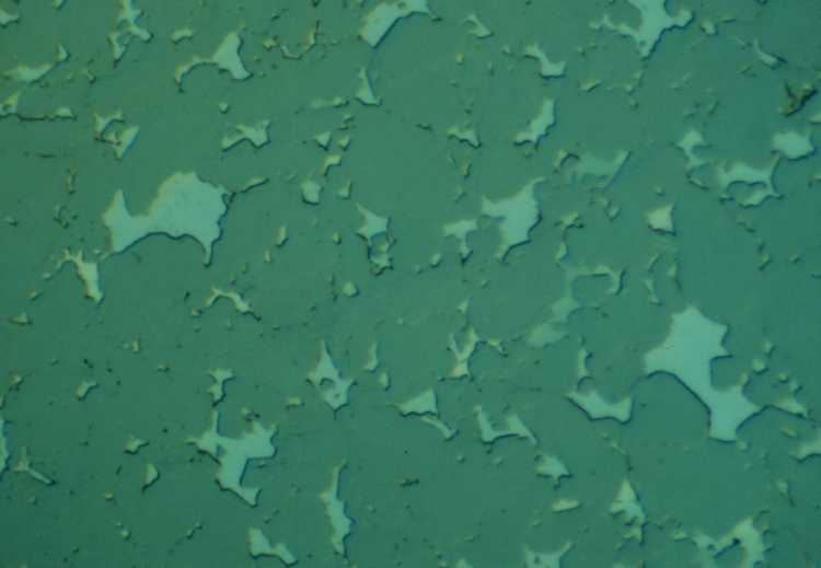 Metallographic micrograph of Steatite ceramic
