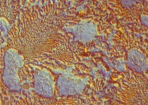 Metallographic micrograph of etched tin-copper alloy