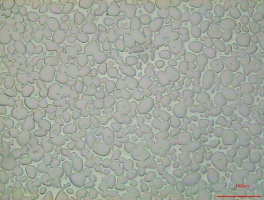 Metallographic micrograph of Tungsten refractory metal