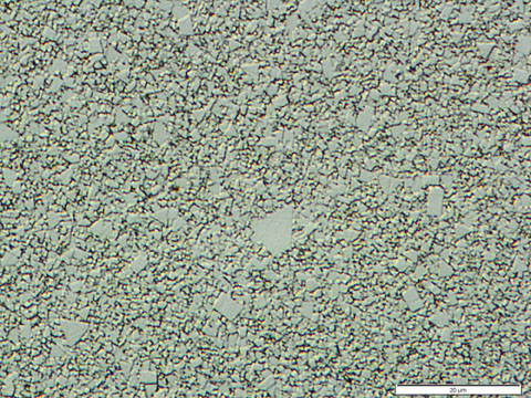 PACE Technologies metallographic specimen preparation of CERMET's such as tungsten carbide