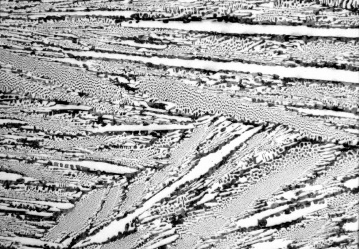 Metallographic white iron