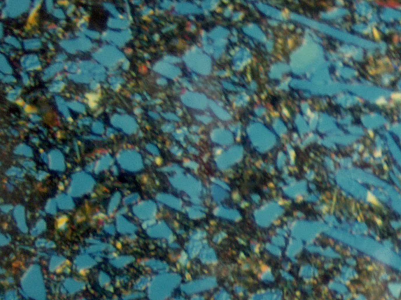 Metallographic micrograph of ZrO2 in a titanium matrix