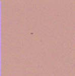 Metallographic 3 micron diamond lapping film