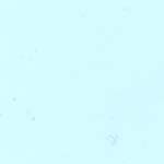 Metallographic 9 micron alumina lapping film