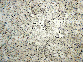 6061 aluminum microstructure