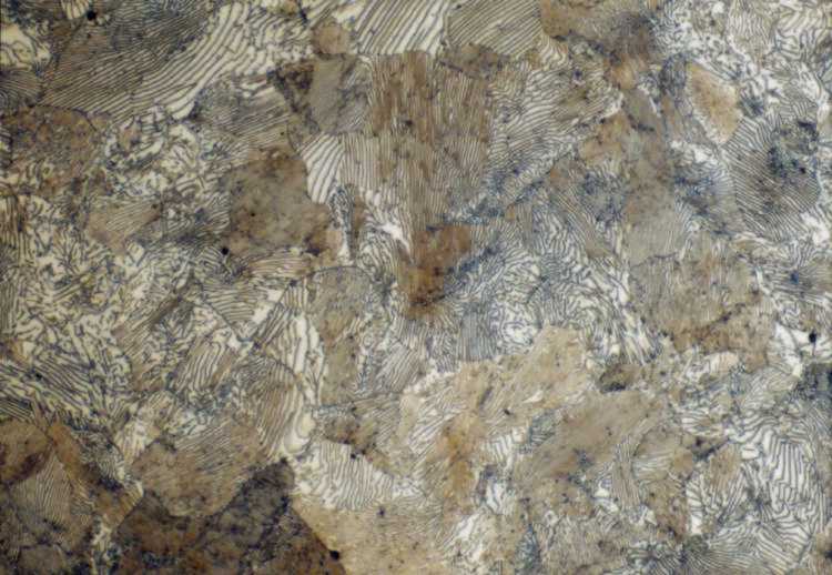 1095 High Carbon Steel Microstructure, furnace cooled, 100X