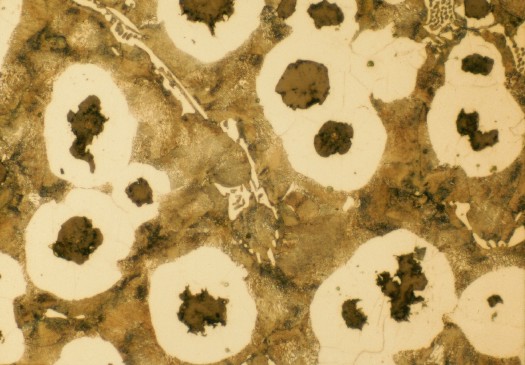 Nodular cast iron microstructure showing advanced imaging techniques